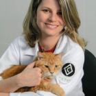 pare_de_comparar_gato_nao_e_cao