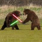11_animais_que_pensam_que_estao_em_star_wars