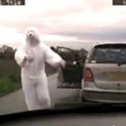 Urso polar feroz ataca policial