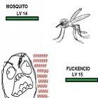 Um Mosquito Selvagem Apareceu!