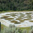 incrivel_lago_manchado_no_canada