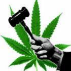 stf_vai_discutir_se_uso_de_droga_e_crime_no_pais