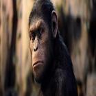 planeta_dos_macacos__a_origem
