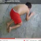 ahhh_meu_passarinho_morreu
