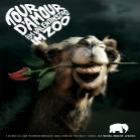 publicidade_com_animais_romanticos