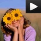 otimo_video_para_assistir