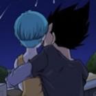 vegeta_seu_safadinho