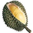 na_asia_voce_pode_morrer_durante_o_almoco