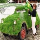 ecologicamente_correto