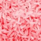 cientistas_querem_produzir_sangue_humano_em_arroz