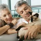 ter_pets_fez_parte_da_evolucao_humana