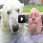 o_unico_homem_no_mundo_que_podem_nadar_com_um_urso_polar