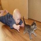 mma_gato_contra_bebe