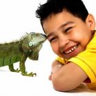 iguana_saiba_mais_sobre_este_reptil