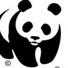 WWF Brasil lança site sobre unidades de conservação ambiental