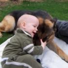 Cachorro + bolinhas de sabão + bebê fofo = momento cuti cuti 
