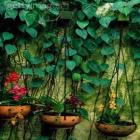 decoracao_sustentavel