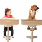 Cães podem ajudar criança a aprender