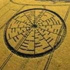 aliens_deixaram_um_teste_de_raciocinio_em_um_campo_de_trigo_sera