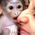 ja_viu_um_macaquinho_fofo_tomando_banho