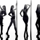 as_gatas_do_sistar_