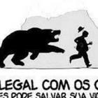 Seja legal com os gordinhos, eles podem te salvar