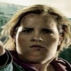 e_se_os_personagens_de_harry_potter_fossem_obesos