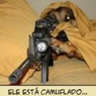 caes_atiradores_de_elite