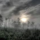 cientista_siberiano_diz_continuar_convencido_de_que_alienigenas_salvaram_a_terra