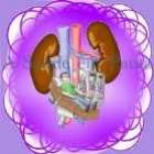 entenda_a_insuficiencia_renal_e_saiba_como_tratala