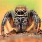 quanto_maior_seu_medo_de_aranhas_maior_elas_se_tornam