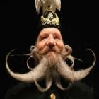 barbas_engracdas
