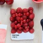 que_tal_deliciosas_empadas_pantone_para_a_sobremesa