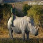 Novo Rodeio! Montando um rinoceronte.