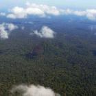 Desmatamento na Amazônia Legal quase triplica entre janeiro e março