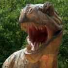 10_incriveis_animais_extintos