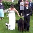 top_10_videos_fails_de_casamento