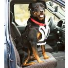animal_no_carro_so_com_seguranca