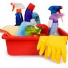 saiba_como_usar_produtos_de_limpeza_sem_intoxicar_caes_e_gatos_