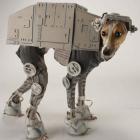 caes_e_latidos_a_&ldquo;la_star_wars&rdquo;_no_comercial_da_volks