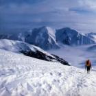 surpresinha_na_porta_de_casa_no_alaska