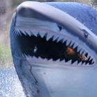 conheca_o_incrivel_seabreacher