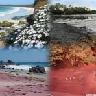 lindas_e_exuberantes_praias_coloridas_