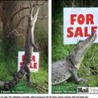 australiana_vende_crocodilo_para_espantar_ladroes_e_ser_bichinho_de_estimacao