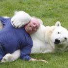 canadense_deixa_cachorros_de_lado_e_brinca_com_ursopolar_