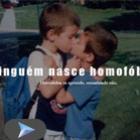 Kit anti homofobia 