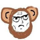 eu_sou_um_macaco