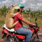 fotos_que_vao_fazer_voce_dizer_que_p$&*_e_essa__