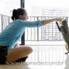 adestrar_ou_condicionar_um_gato_