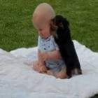 ataque_impiedoso_de_filhote_de_cachorro_contra_bebe_